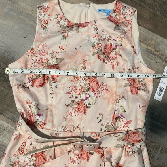 NWT Antonio Melani size 8 pink beige green sleeveless belted dress. - Picture 7 of 9